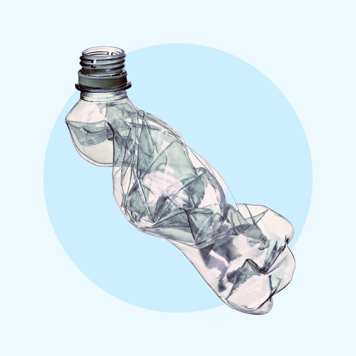 image collection image