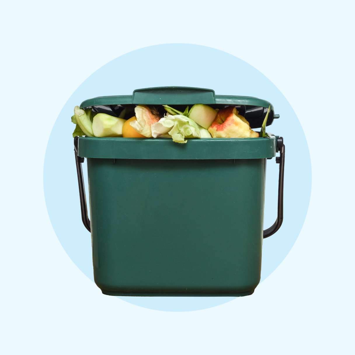 image collection image