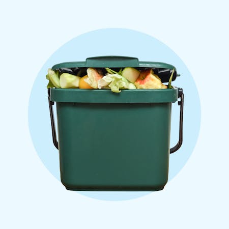 image collection image